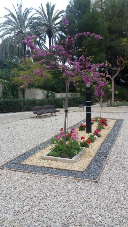 Apartament Muchosol Benidorm Zewnętrze zdjęcie